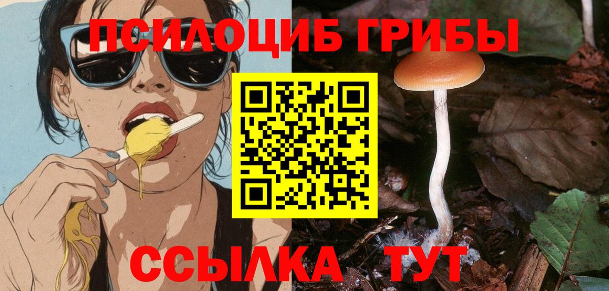Галлюциногенные грибы Magic Shrooms Нарткала